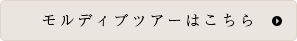 モルディブツアーはこちら