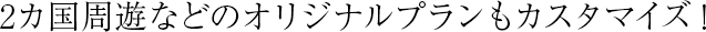 2カ国周遊などのオリジナルプランもカスタマイズ！
