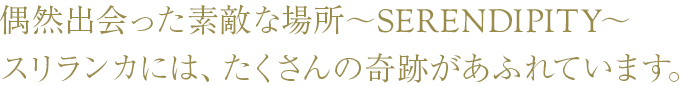 偶然出会った素敵な場所～SERENDIPITY～ スリランカには、たくさんの奇跡があふれています。