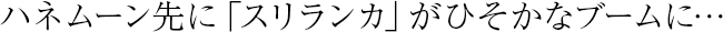 現地ガイドのご紹介