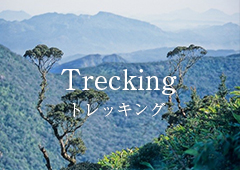 Trecking