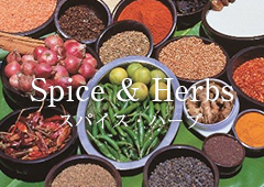 Spice & Herbs