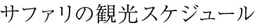 サファリの観光スケジュール 