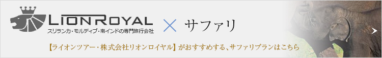 【ライオンツアー・株式会社リオンロイヤル】がおすすめする、サファリプランはこちら