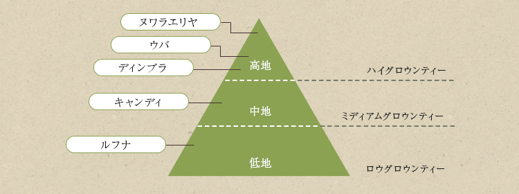 標高による紅茶の3区分