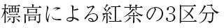 標高による紅茶の3区分