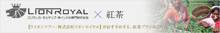 【ライオンツアー・株式会社リオンロイヤル】がおすすめする、紅茶プランはこちら