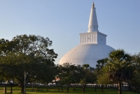 6つの世界遺産と紅茶の産地を巡る! スリランカ6泊8日間