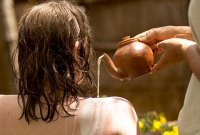 本格アーユルヴェーダリゾートに滞在(シッダーレパアーユルヴェーダ)