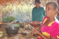 スパイスを買う!学ぶ!作る! スパイスカレー好き必見ツアー 6泊8日間