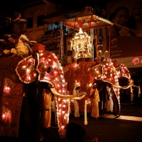 ぺラヘラ祭り・世界遺産・アーユルヴェーダで伝統を堪能する６泊８日間