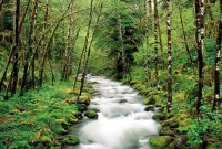 スリランカ世界遺産コンプリート！ ぐるっと大周遊 　８泊１０日間