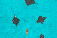 【2025年12月 New Open!】NHコレクション モルディブ リーティリゾート/ NH Collection Maldives Reethi Resort【バア環礁】