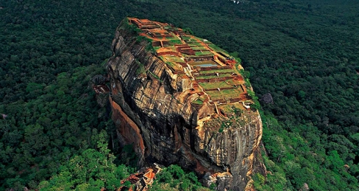 世界遺産　サファリ　紅茶の産地を満喫！ 　6泊8間