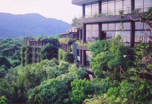 世界遺産　サファリ　紅茶の産地を満喫！ 　6泊8間