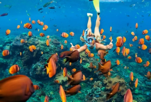 センタラ ラスフシ リゾート＆スパ モルディブ / Centara Ras Fushi Resort & Spa Maldives【北マーレ環礁】