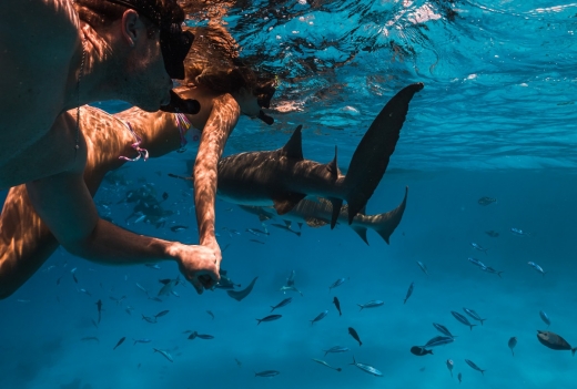 サン シヤム オルヴェリ モルディブ / Sun Siyam Olhuveli【南マーレ環礁】